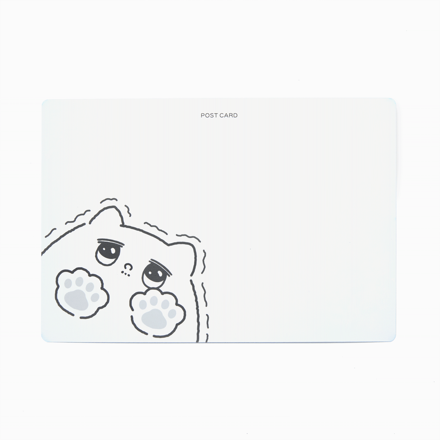 じわじわ増える猫ポストカード（3枚セット）